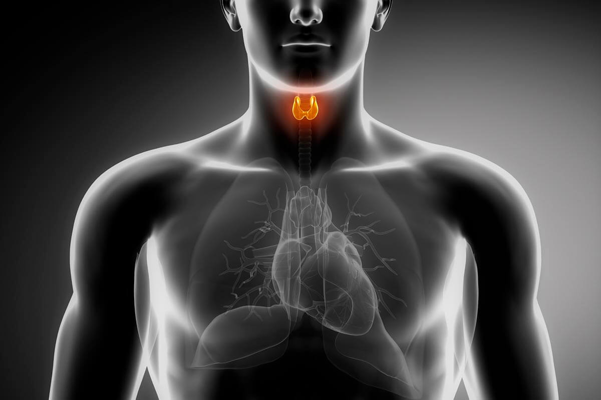 List of blood tests for weight loss #3: Thyroid hormone profile