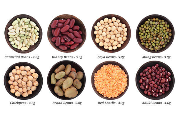 Include Fibre and Protein to reduce belly fat Include Fibre and Protein to reduce belly fat