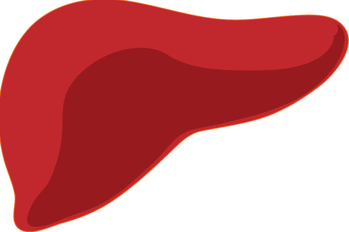 List of blood tests for weight loss #1 Liver function tests