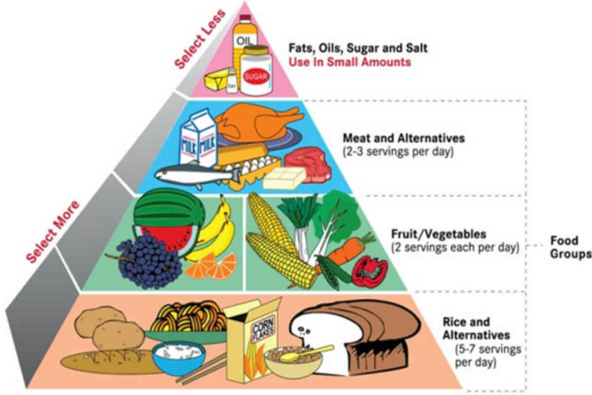 how slimming diet plan diagram