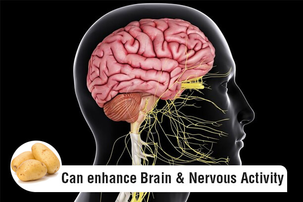 Natural remedies for memory and concentration picture 1