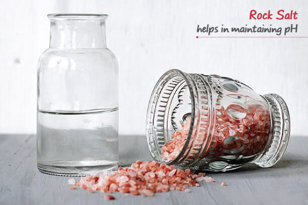 Rock salt helps in maintaining pH Rock salt helps in maintaining pH