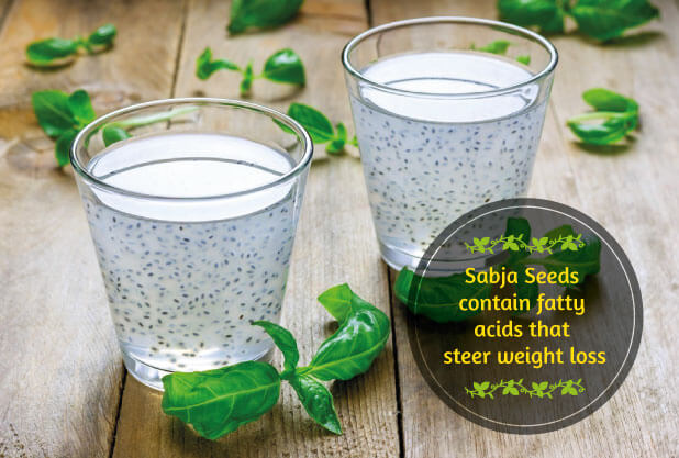 Sabja Seeds contain fatty acids for weight loss Sabja Seeds contain fatty acids for weight loss