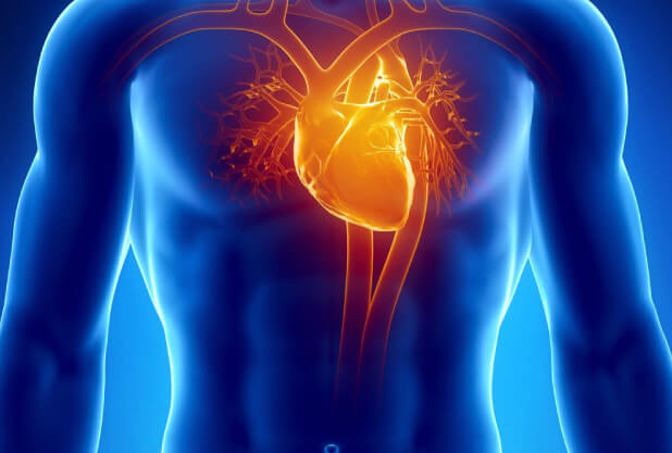 High-Cholesterol-and-Heart-Diseases